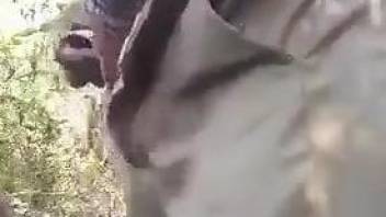 Dude rams his wonderful penis in a dog's tight hole