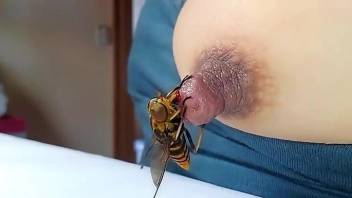 Bee sting fetish video with a twisted ending