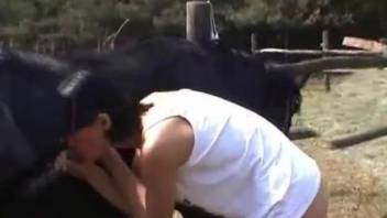 Brunette with short hair blows a big-dicked stallion