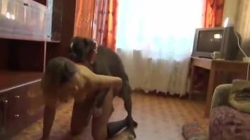 Sexy ass female filmed trying the dog dick in both holes