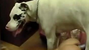 Lovely blonde stands naked and enjoys good animal anal sex