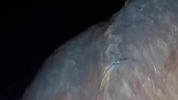 Passionate guy with a hard cock enjoys nighttime zoo sex
