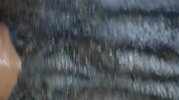 Steamy human dick overpowers a snug female horse vagina in high definition