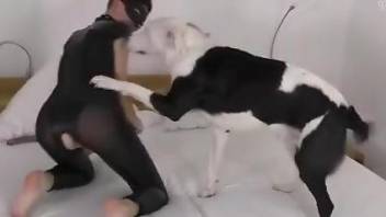 Bodysuit babe gets fucked by her master and his dog