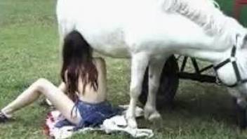 Lonely redheaded babe fucking a white horse outdoors