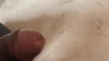 Sexy dog licking all over this dude's dick big time
