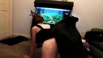 Redheaded lady allows this beast to fuck her up
