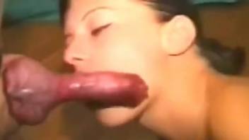 Amateur throats whole dog cock in scenes of amateur zoophilia