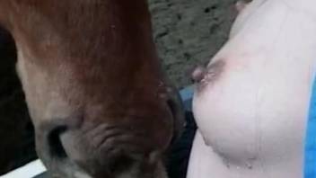 Awesome porno movie with a pale-skinned zoophile babe
