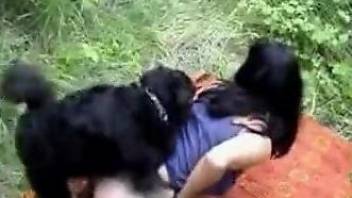 Brunette getting fucked on all fours by a dog