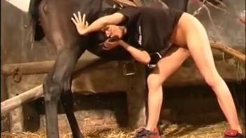 Aroused beginner fondles the stallion's penis in perverse ways