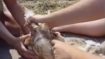 Adorable pair relishing intense outdoor intercourse