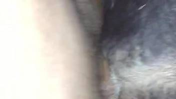 Hairy guy's hard cock is exploring that zoophilic hole