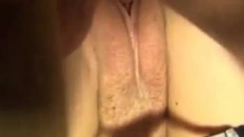 Moist vagina woman being screwed by a tan mongrel