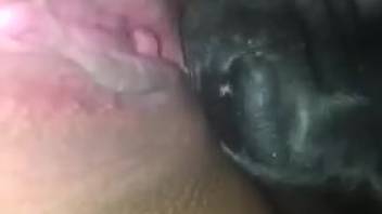 Aroused woman pleasures herself and enjoys the dog licking her