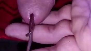 Huge worm crawls into the man's dick when he's jerking on cam