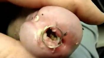 Man inserts worms into his cock while masturbating on cam