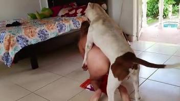Dog ass fucks busty wife in homemade zoo perversions