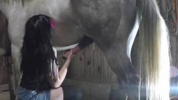 Fabulous zoophile babe getting fucked by a stallion