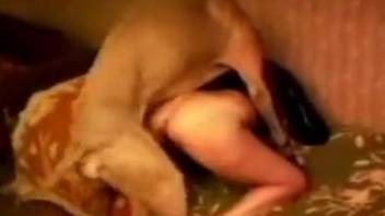 Brunette with natural boobs getting dominated by a dog