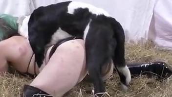 Needy woman bends that chubby ass over for proper animal sex