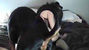Fishnets wearing hottie getting banged by a dog