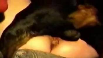 Amateur hottie orgasming with a dog's dick inside