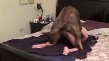 Doggystyle hump movie featuring a twisted slut