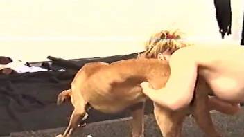 Blonde from a  vintage porno wants big dog cock