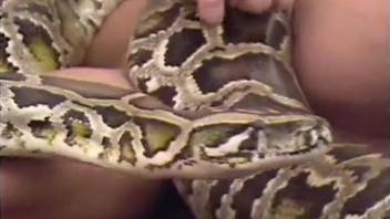 Long-haired dude zoophile and his wife play with a huge snake