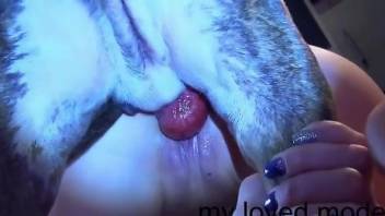 Sexy lady getting fucked deeply by her favorite pet