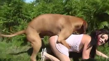 Huge dog penis punishing her pussy outdoors in the grass