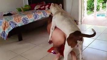 Golden mask hottie getting drilled by a doggo