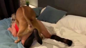 Wonderfully perverse woman screws a canine intensely