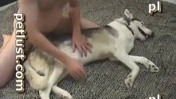 Dog pleases horny man with dick licking oral
