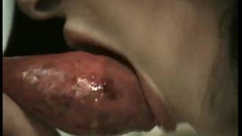 Amazing sex scene starring crazy animal-fucking sluts