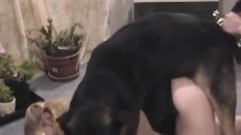 Big boobs lady blows her man after fucking her dog