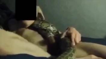 Naked female enjoys a snake as her sex toy during cam solo