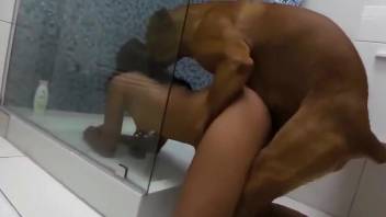Perfect pussy lady getting fucked by a brown doggo