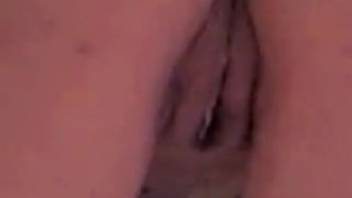 Mature mom gets jizzed on by the canine after steamy intercourse