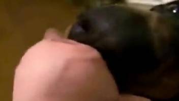 Compilation of POV oral with animals that love dick