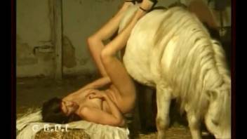 Foot fetish foreplay and horse bestiality banging