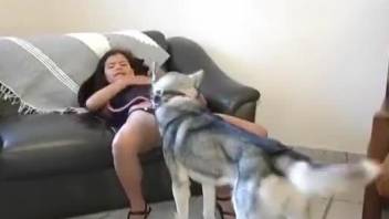 Obedient dog fucking a brunette's pussy on all fours