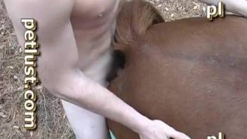 Man fucks horse in both the pussy and ass