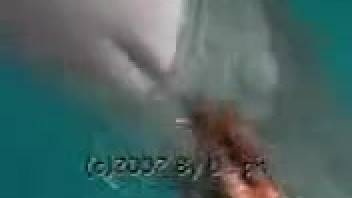Diver equipped with camera records himself fingering a dolphin's snatch