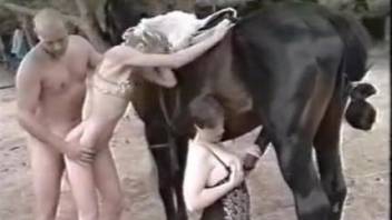 Cunnilingus and horse cock worship in a compilation video