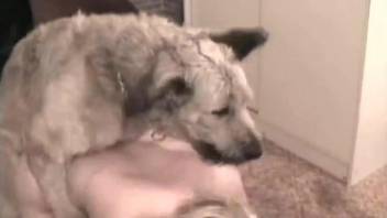 Blond-haired chick does her best to seduce a dog