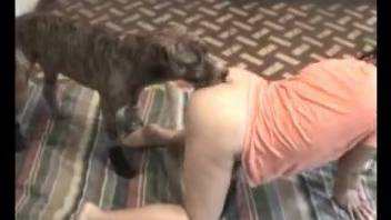 Gorgeous brunette banged brutally by a sexy dog