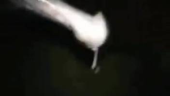 Savage equine erotica featuring rough bestiality in homemade webcam footage