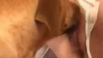 Kitty mask amateur fucked brutally by a kinky dog